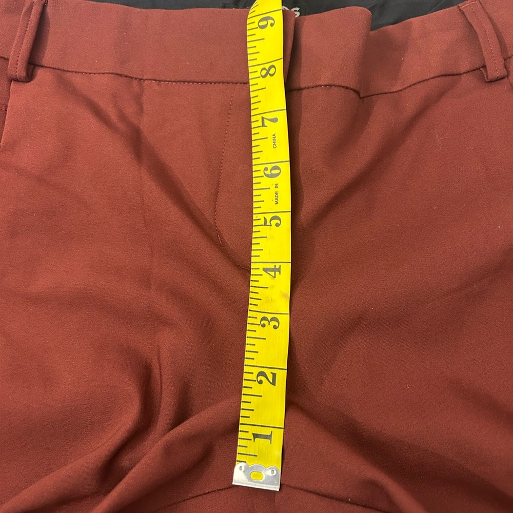 Express Rust-Colored Columnist Pants - image 5